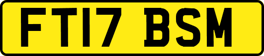 FT17BSM