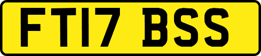 FT17BSS
