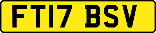 FT17BSV