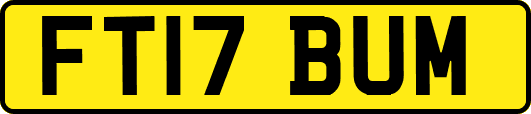 FT17BUM