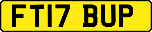 FT17BUP