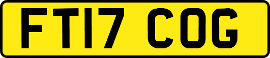 FT17COG