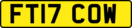 FT17COW