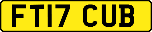 FT17CUB