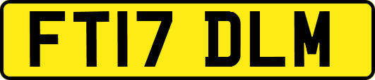 FT17DLM