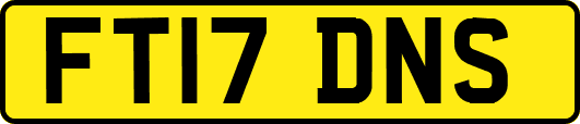 FT17DNS