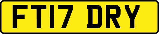 FT17DRY