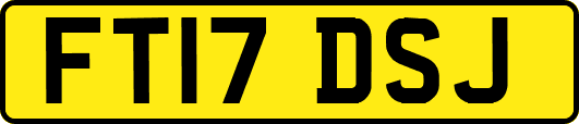 FT17DSJ