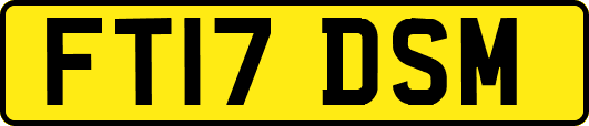 FT17DSM
