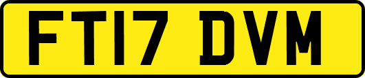 FT17DVM