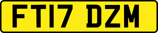 FT17DZM