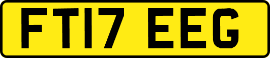 FT17EEG