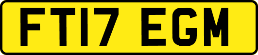 FT17EGM