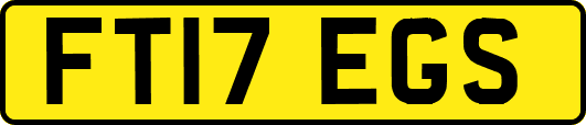 FT17EGS
