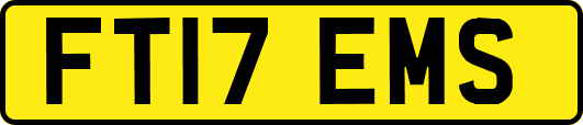 FT17EMS