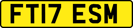 FT17ESM