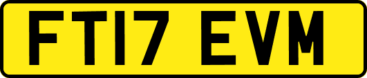 FT17EVM