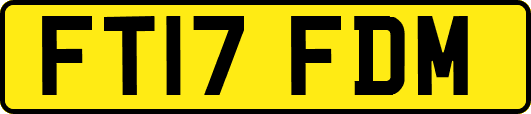 FT17FDM
