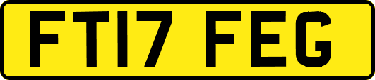 FT17FEG