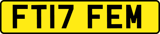 FT17FEM