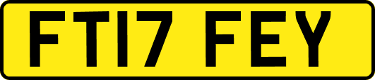 FT17FEY