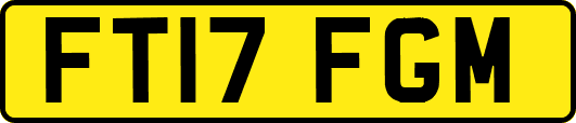 FT17FGM