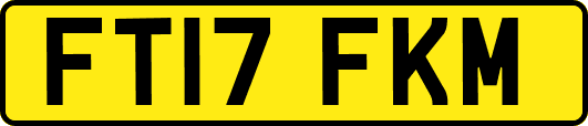 FT17FKM