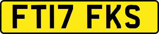 FT17FKS