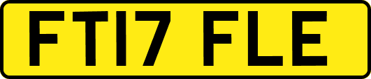 FT17FLE