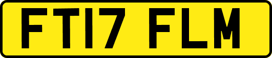FT17FLM