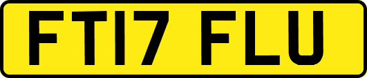 FT17FLU