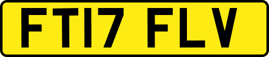 FT17FLV