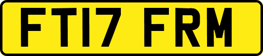 FT17FRM