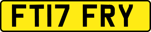 FT17FRY