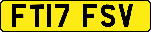FT17FSV