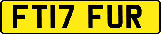 FT17FUR