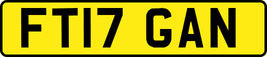 FT17GAN