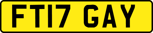 FT17GAY