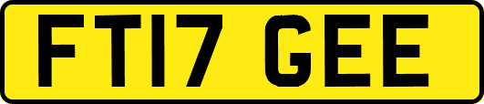 FT17GEE