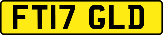 FT17GLD