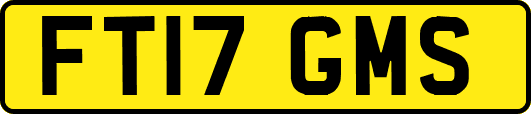 FT17GMS