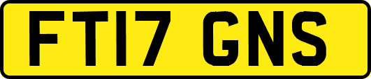 FT17GNS