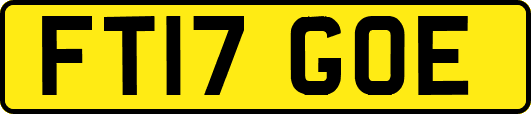 FT17GOE