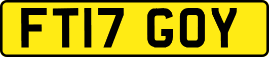 FT17GOY