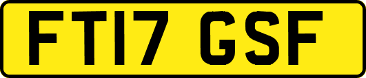 FT17GSF