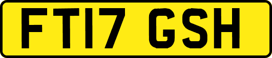 FT17GSH