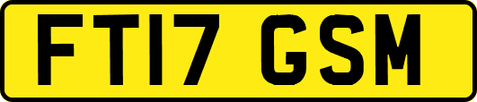 FT17GSM