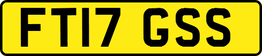 FT17GSS