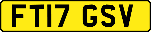 FT17GSV