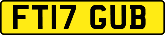 FT17GUB